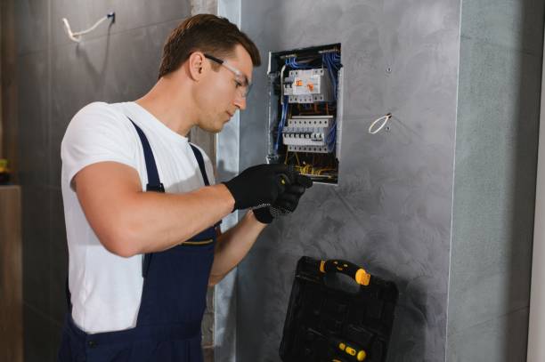 Best Electrician for Home Renovation  in Anamosa, IA