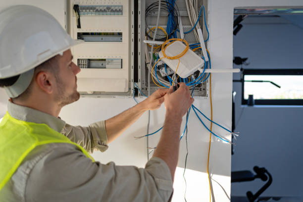 Best Electric Panel Repair  in Anamosa, IA